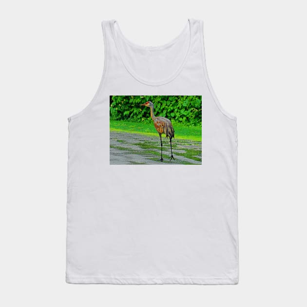 Walking Crane Tank Top by aTypical bird